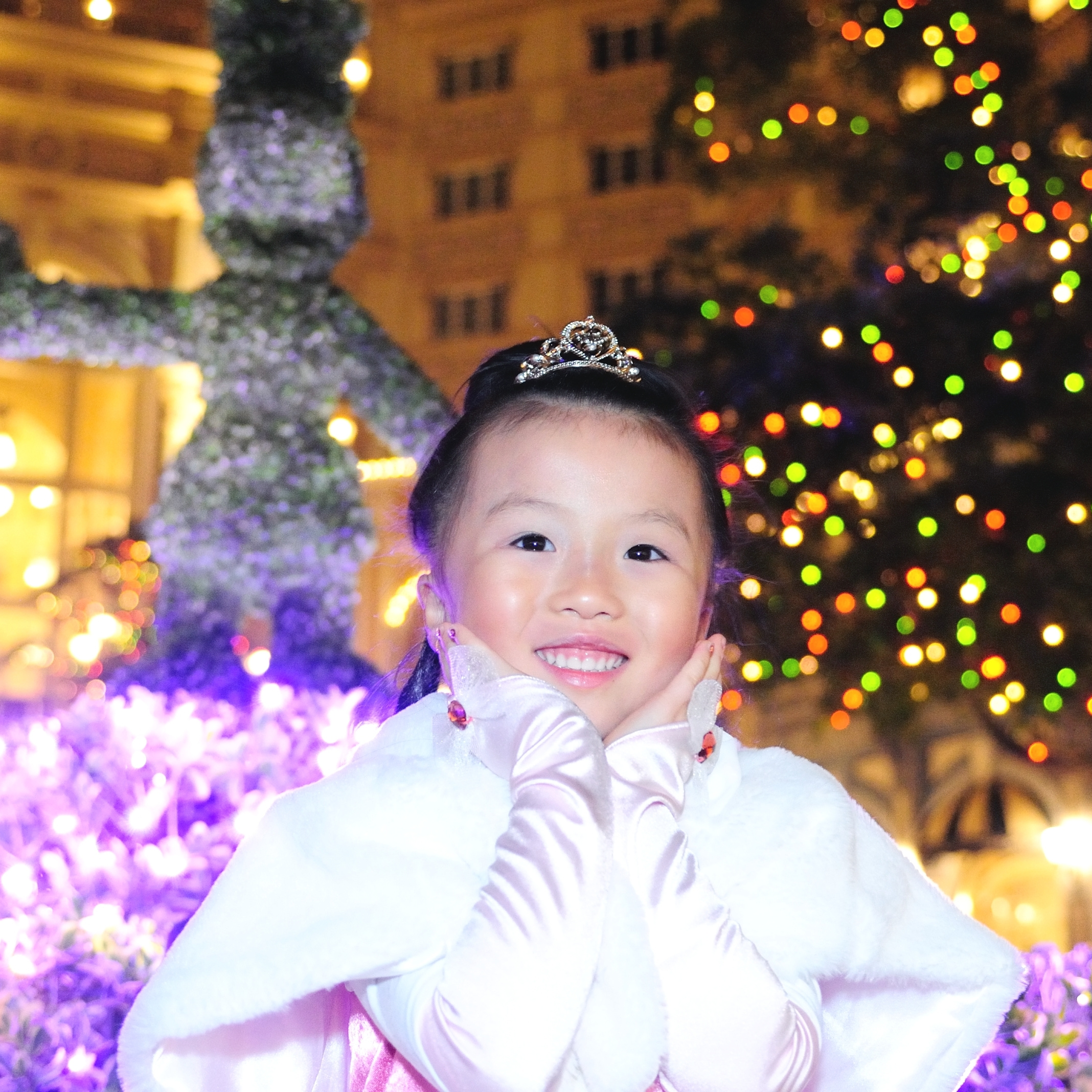 ディズニーランド　ディズニープリンセス